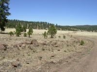 Trail north of Reserve